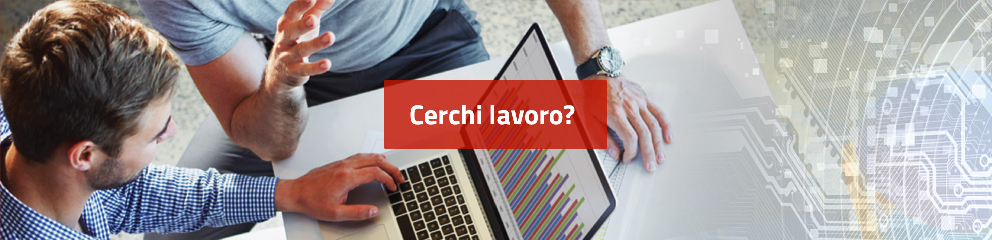 Cerchi lavoro?